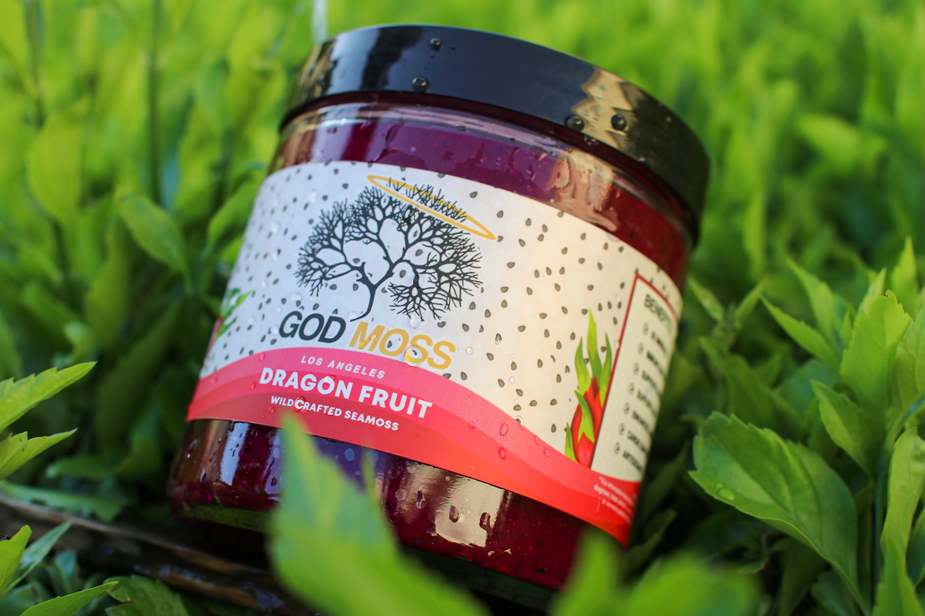 Dragon Fruit Seamoss Gel - GodMoss